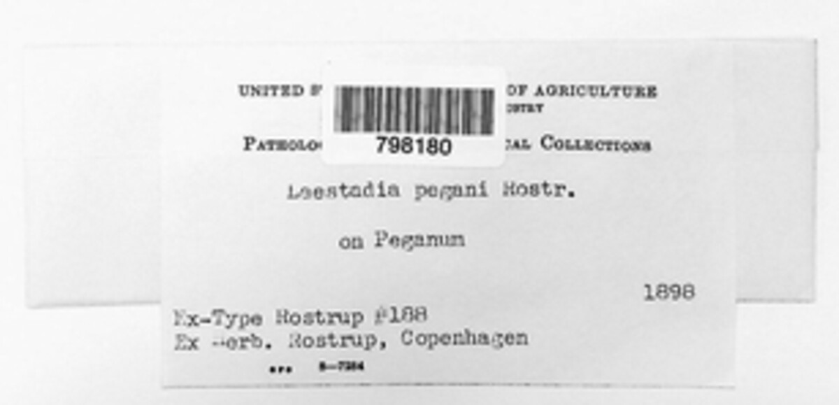 Guignardia pegani image